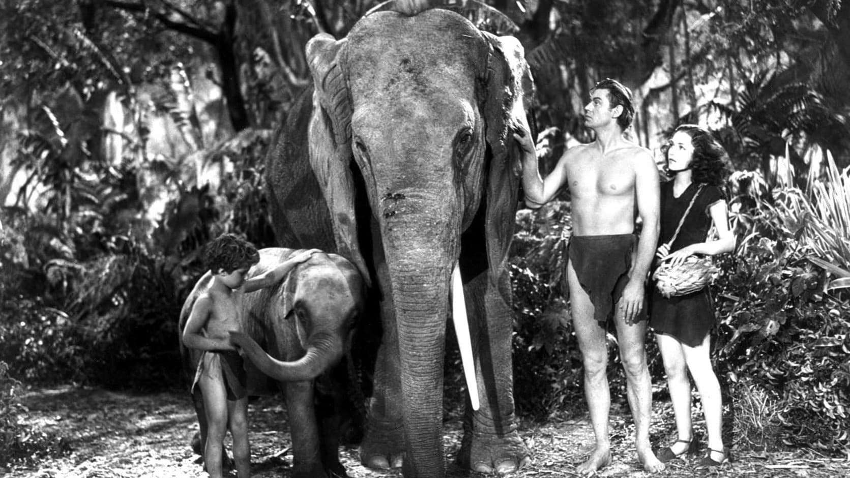Tarzan Finds a Son! backdrop