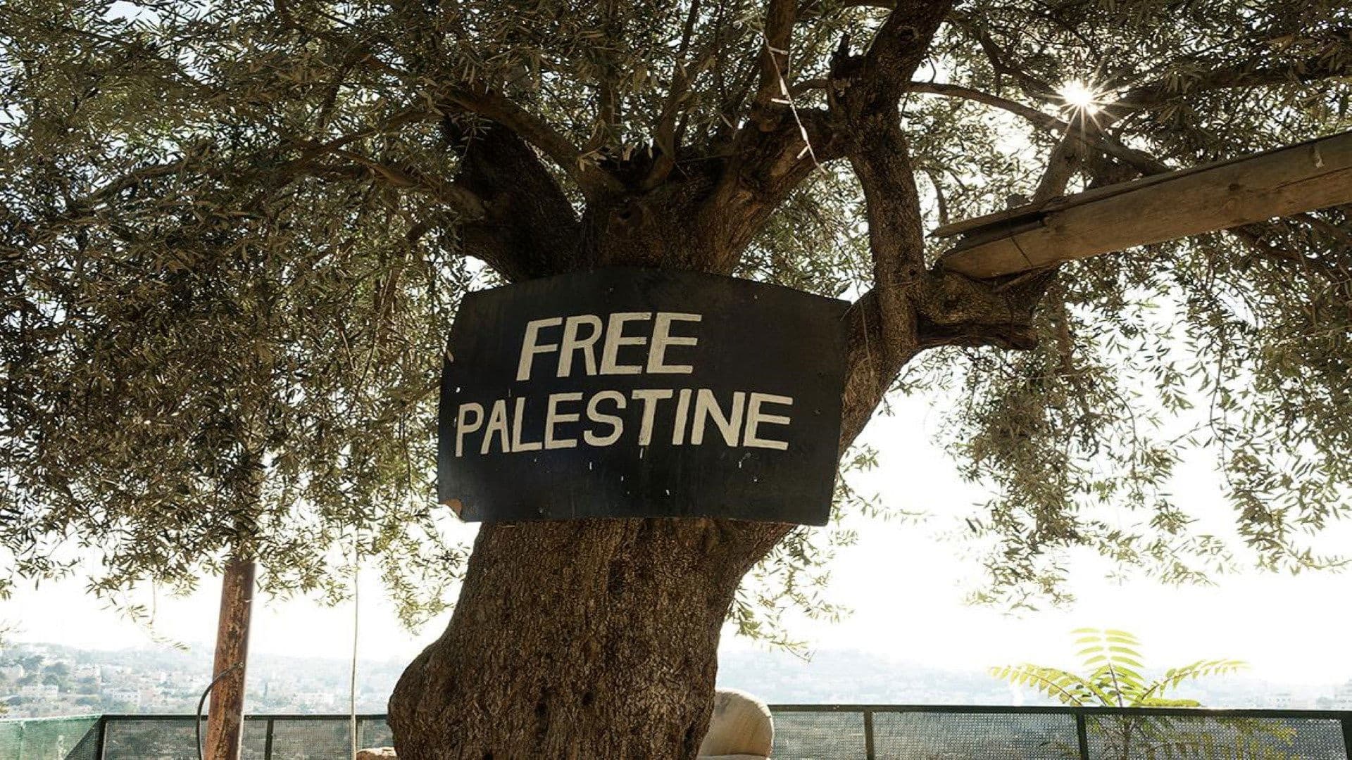 Roots of Resistance backdrop