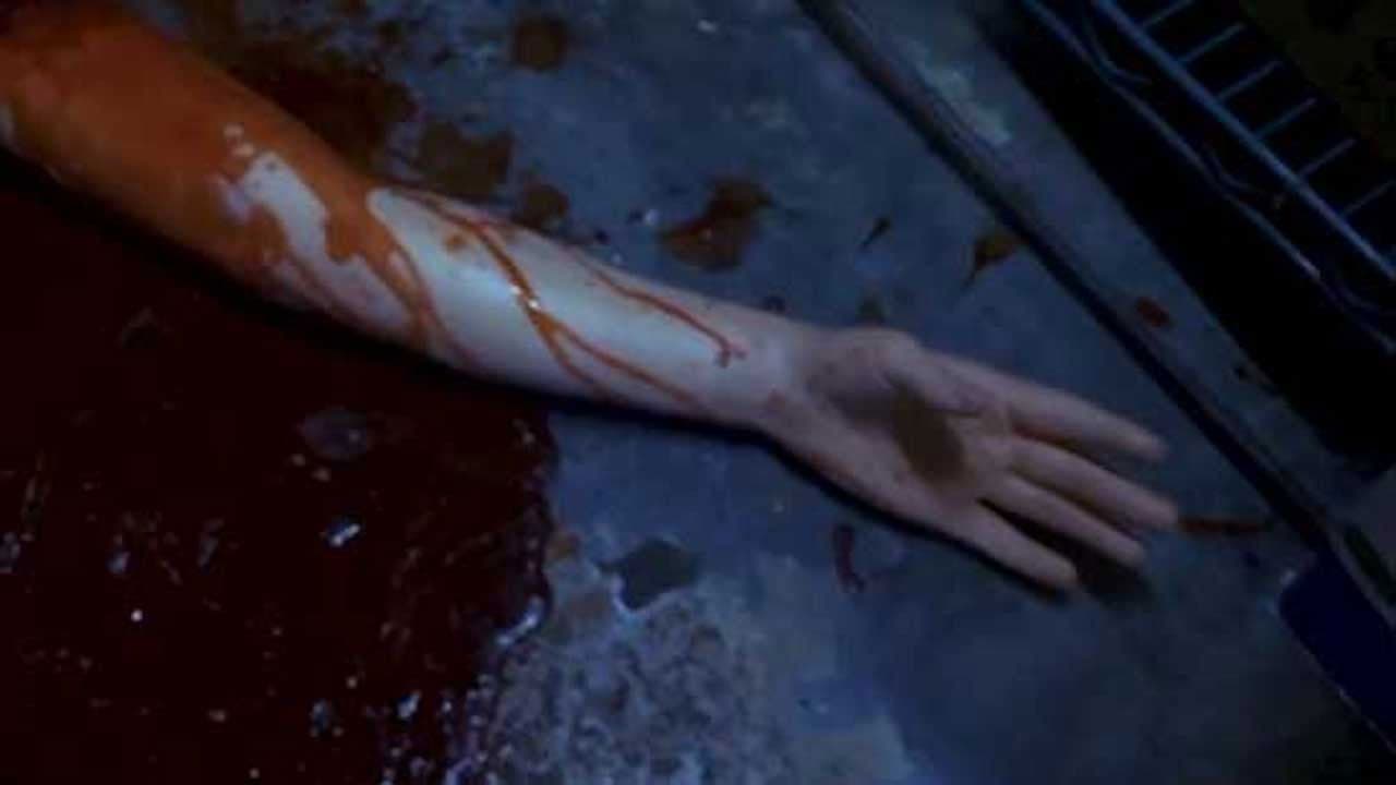 Human Hibachi backdrop