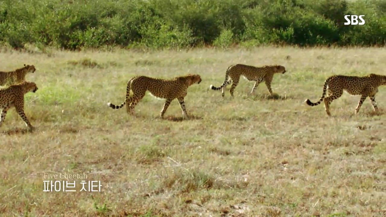 Life of Samantha backdrop