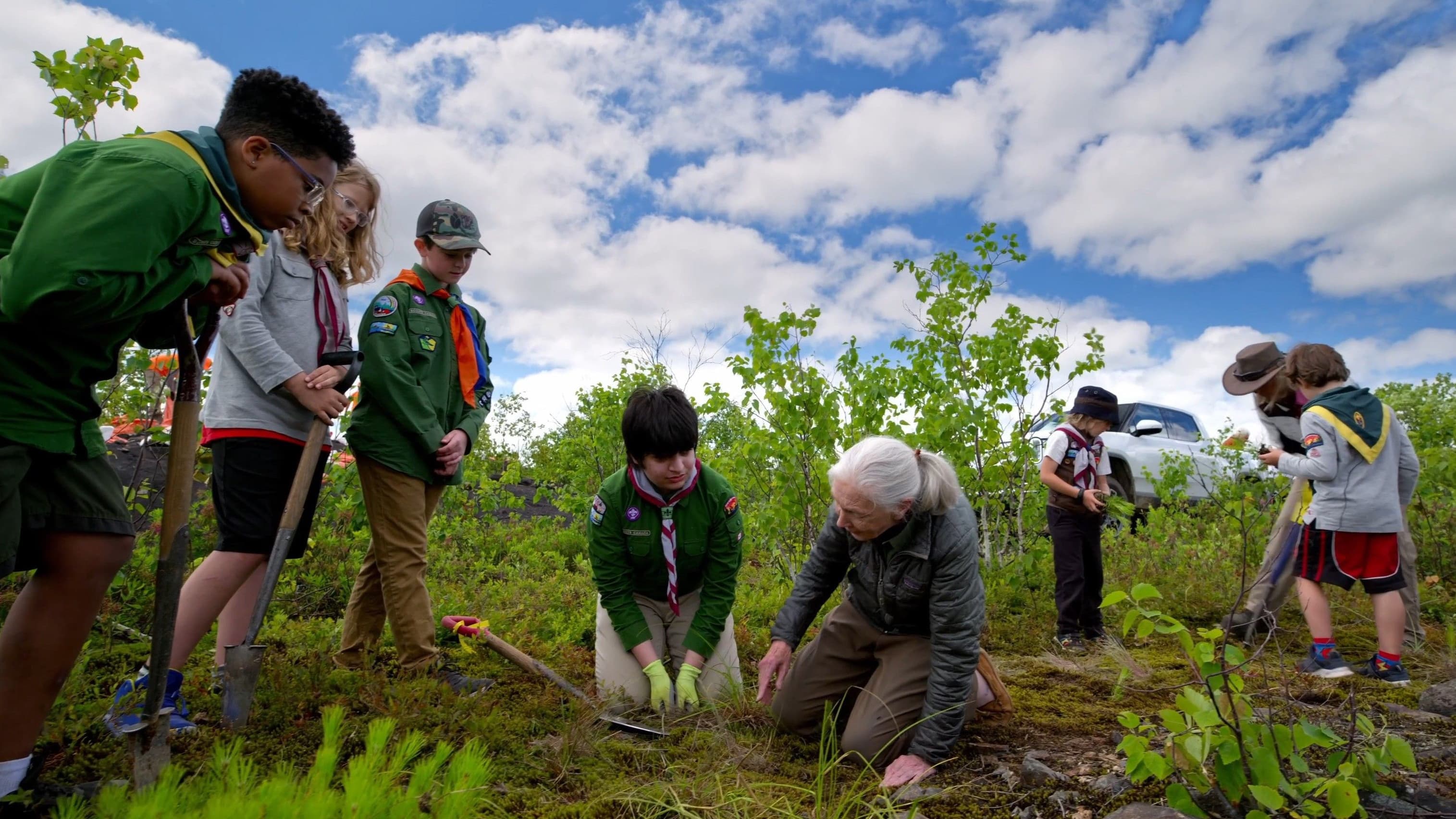 Jane Goodall: Reasons for Hope backdrop