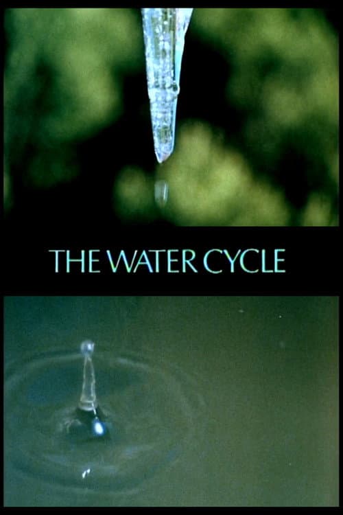 The Water Cycle